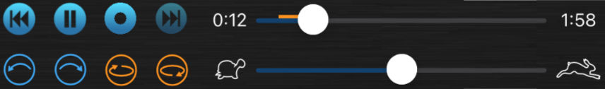 recording controls looping